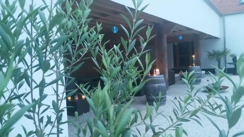 B&B La Douceur De La Miclette Ellezelles Exteriör bild